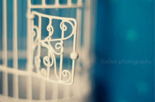 抖音快手流行个性签名介绍