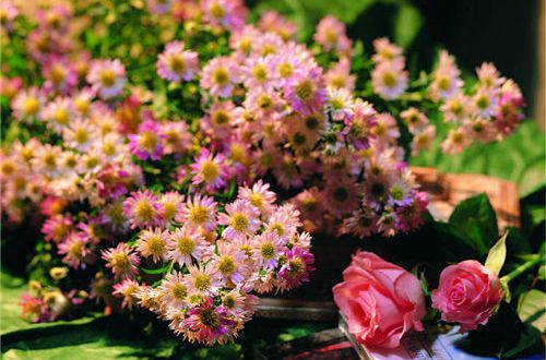 2023个性签名女生简单气质