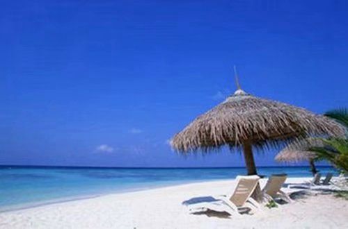 2023最火抖音签名拽一点的